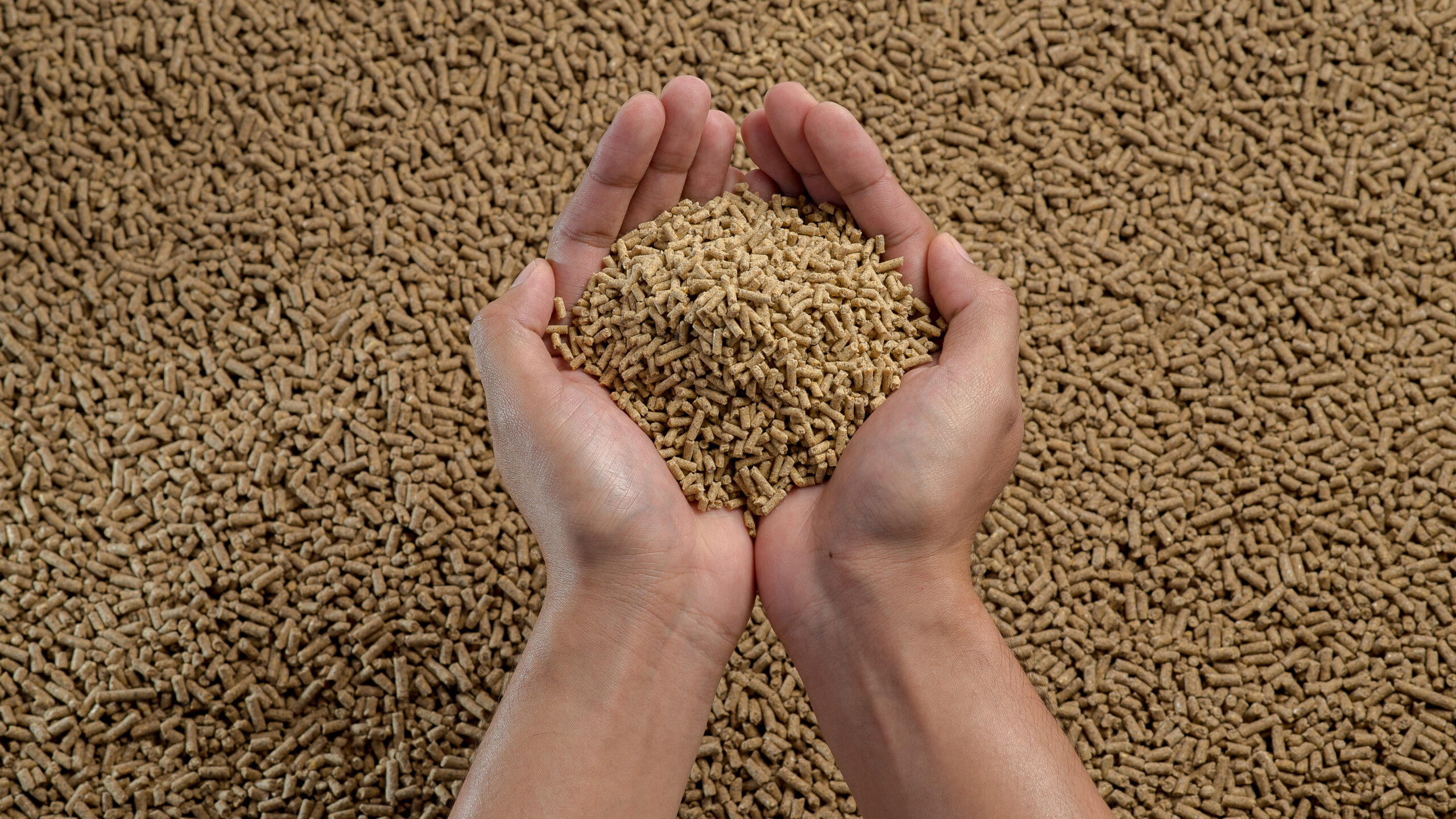 Animal Feeds