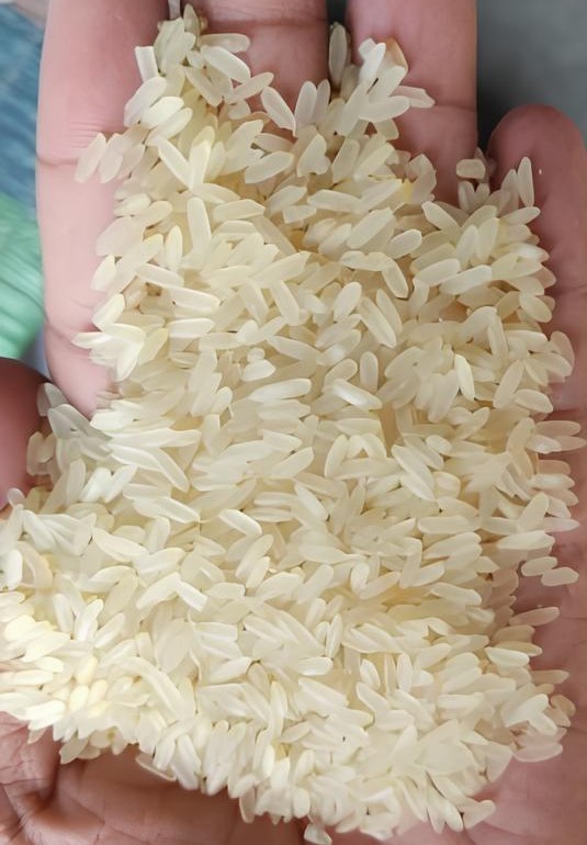 Sona Masoori Steam Rice